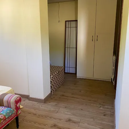 公寓 A Casa De Roque 1 米尼奥